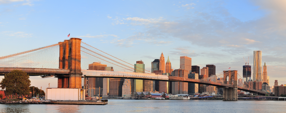 Web design and development services for businesses in the USA